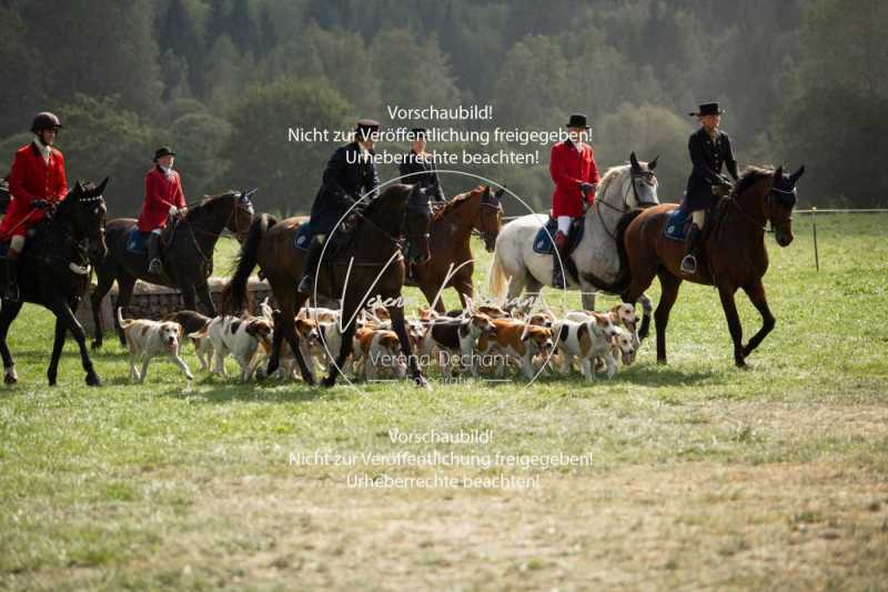 Gestütsschau Schwaiganger97