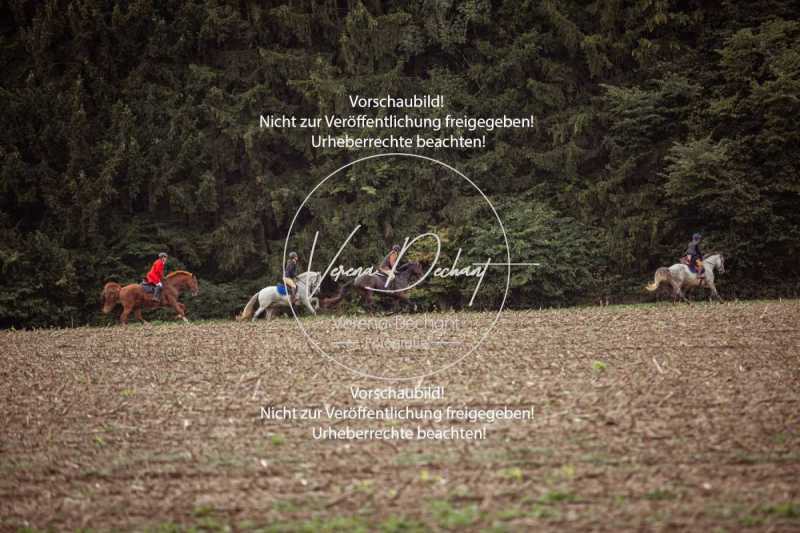 Schleppjagd_Altisheim-089