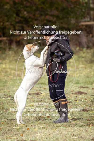Schleppjagd_Dießen-062-2