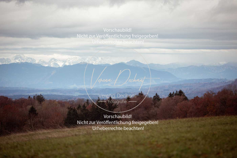 Schleppjagd_Diessen-001-2