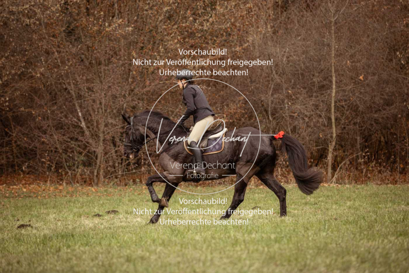 Schleppjagd_Diessen-009