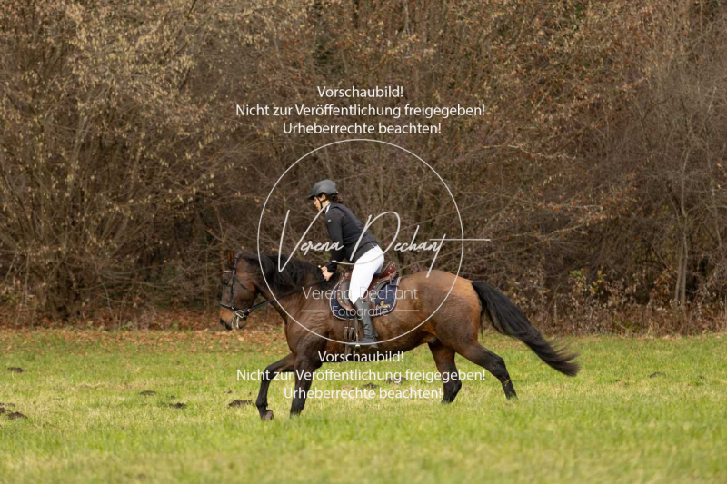 Schleppjagd_Diessen-011