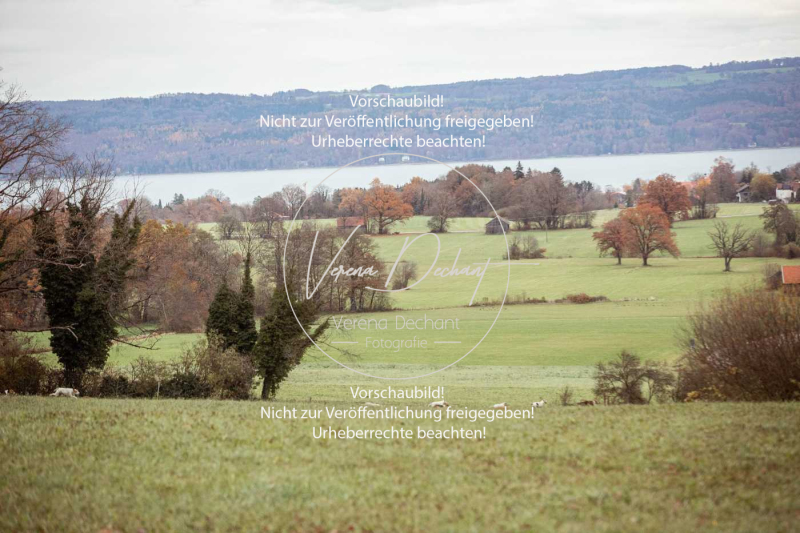 Schleppjagd_Diessen-015-2