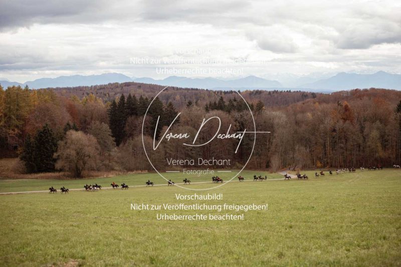 Schleppjagd_Diessen-035