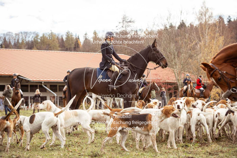 Schleppjagd_Diessen-1005