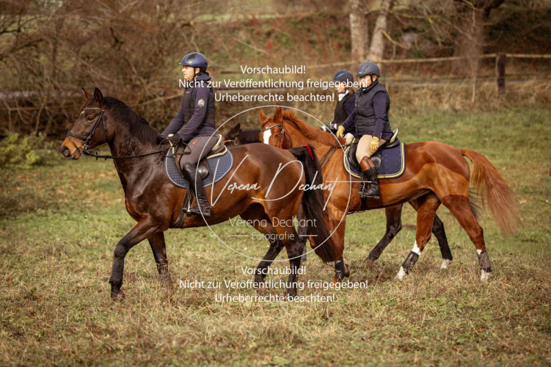 Schleppjagd_Diessen-1010