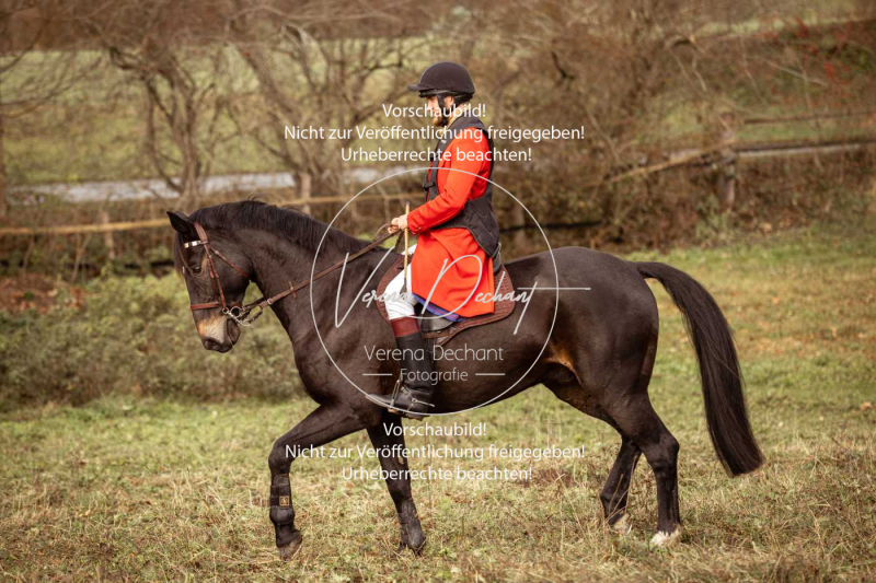 Schleppjagd_Diessen-1015