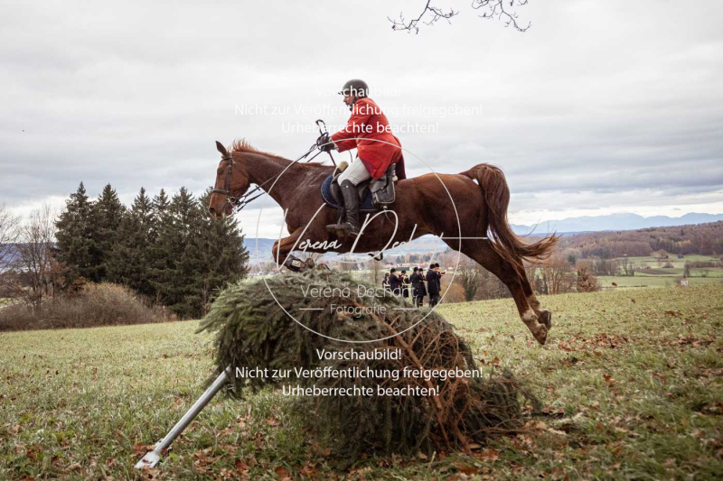 Schleppjagd_Diessen-1022