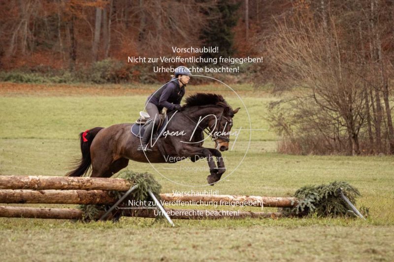 Schleppjagd_Diessen-1028