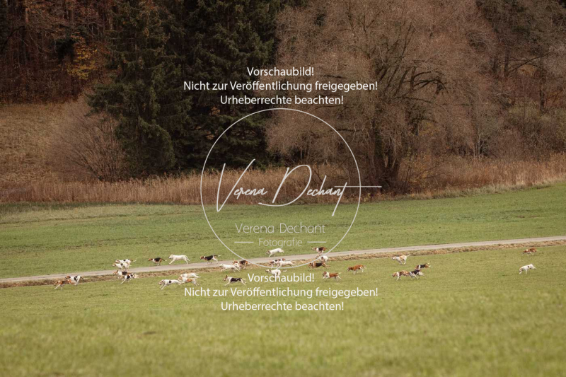 Schleppjagd_Diessen-1043