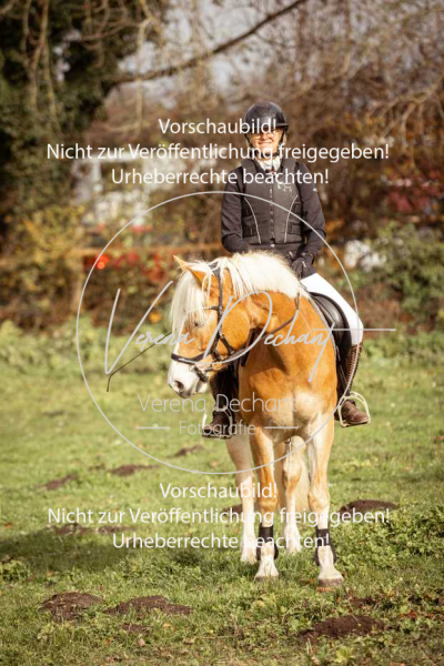 Schleppjagd_Diessen-1052