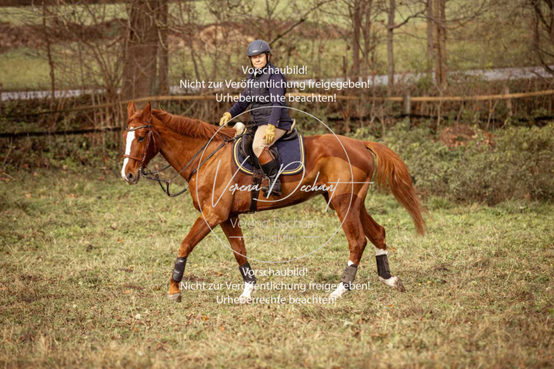 Schleppjagd_Diessen-1055