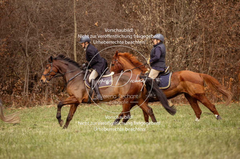 Schleppjagd_Diessen-1066