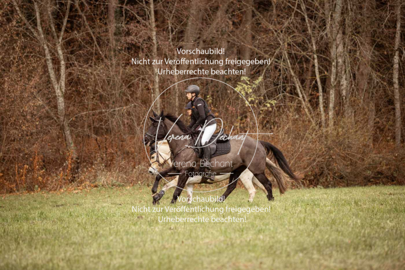 Schleppjagd_Diessen-1081