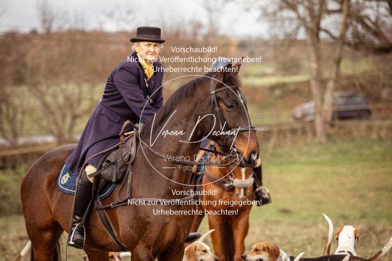 Schleppjagd_Diessen-1091