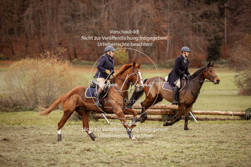 Schleppjagd_Diessen-1098