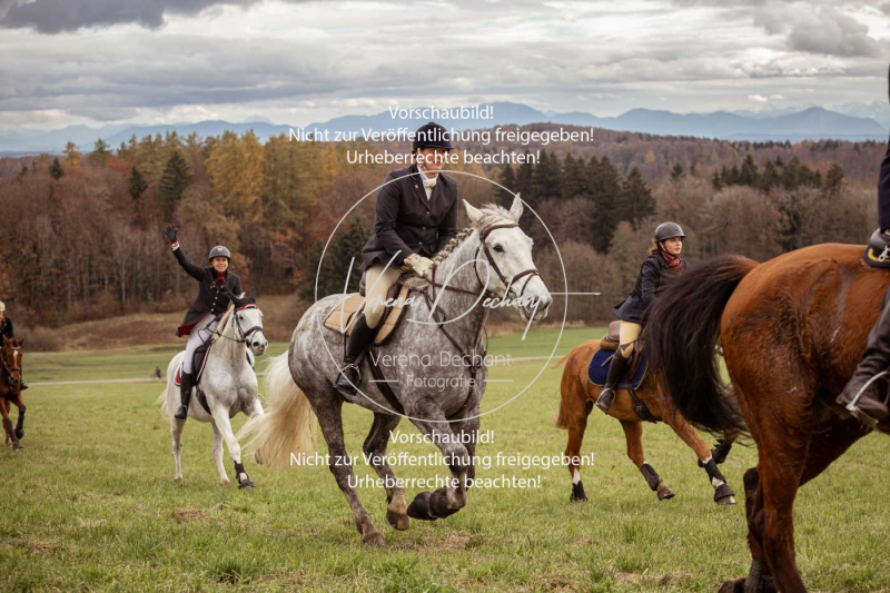 Schleppjagd_Diessen-1105