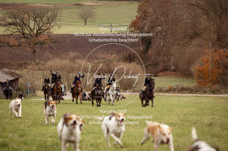 Schleppjagd_Diessen-1110