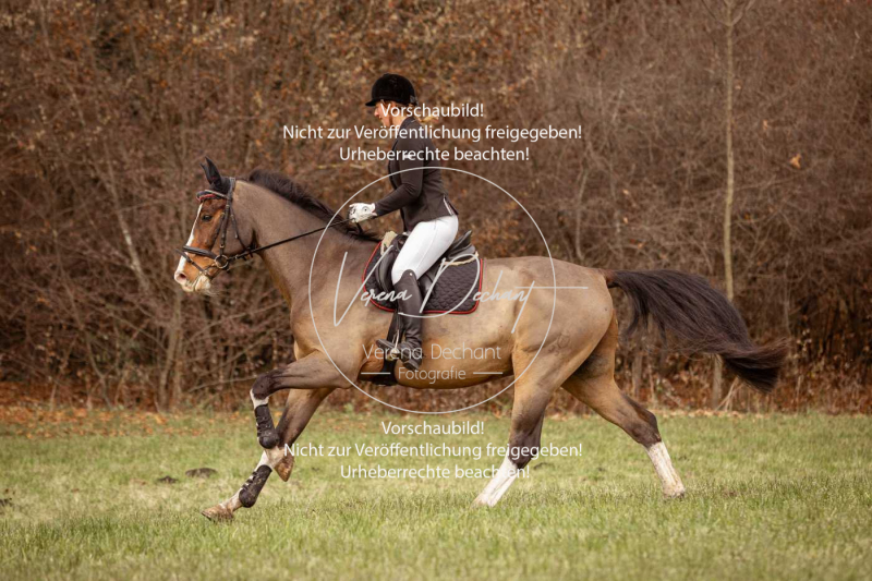 Schleppjagd_Diessen-1111