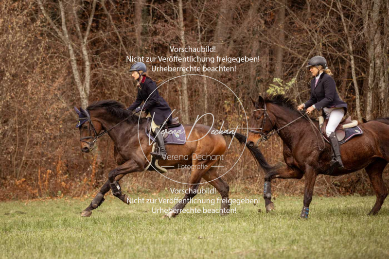 Schleppjagd_Diessen-1132