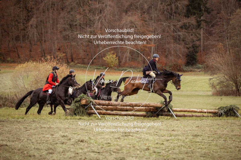 Schleppjagd_Diessen-1133