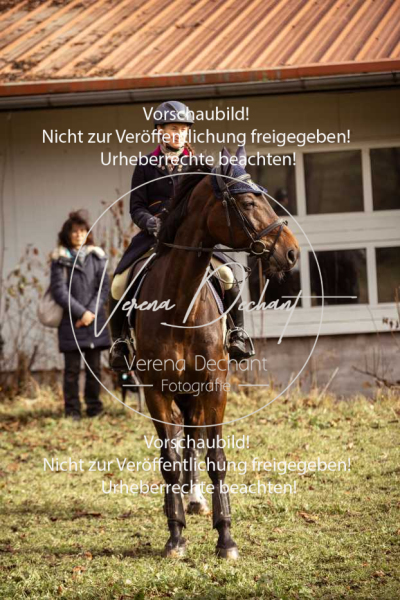 Schleppjagd_Diessen-1143