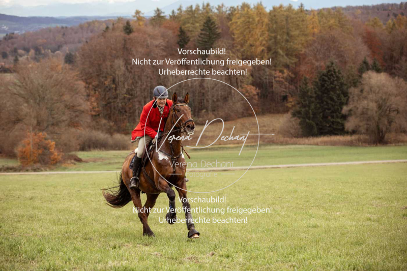 Schleppjagd_Diessen-1166