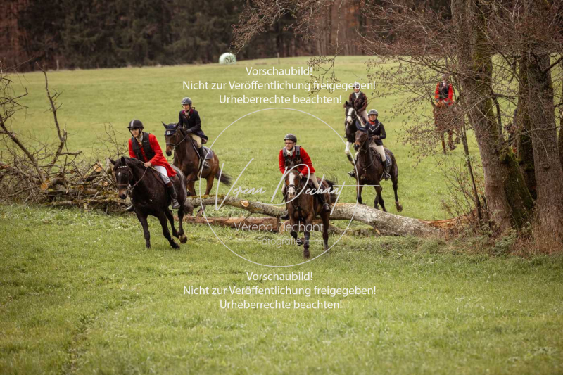 Schleppjagd_Diessen-1174