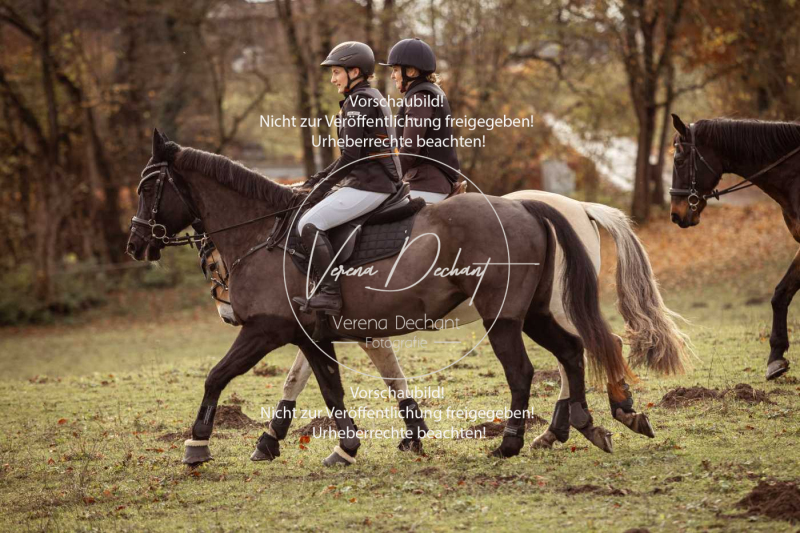 Schleppjagd_Diessen-1177