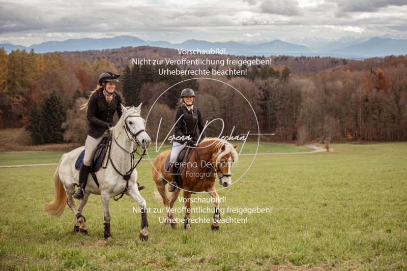 Schleppjagd_Diessen-1181