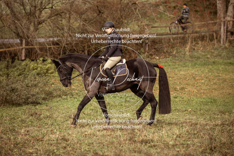 Schleppjagd_Diessen-1201