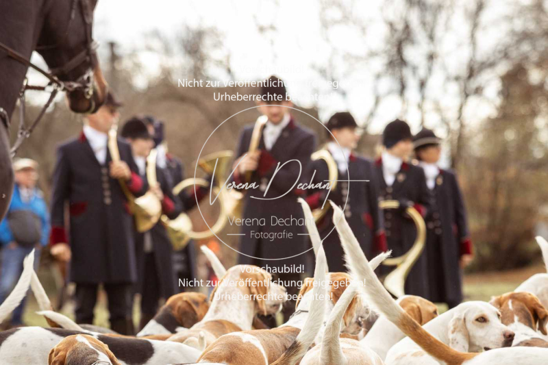 Schleppjagd_Diessen-1205