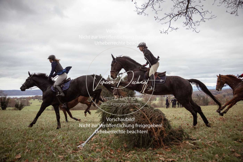 Schleppjagd_Diessen-1270