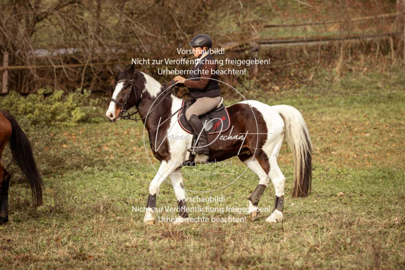 Schleppjagd_Diessen-1274