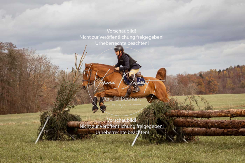 Schleppjagd_Diessen-1280