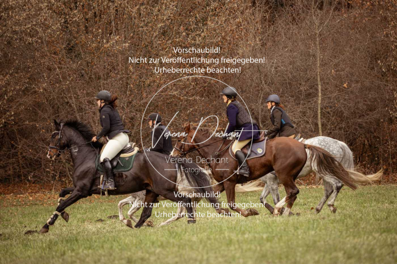 Schleppjagd_Diessen-1292