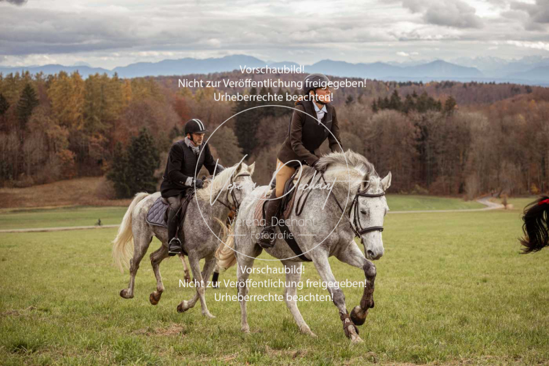 Schleppjagd_Diessen-1296