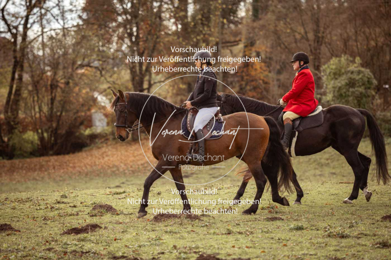 Schleppjagd_Diessen-1297