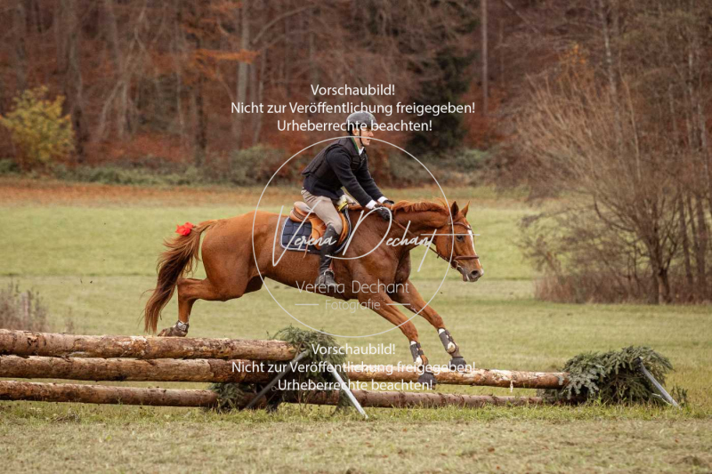 Schleppjagd_Diessen-1299