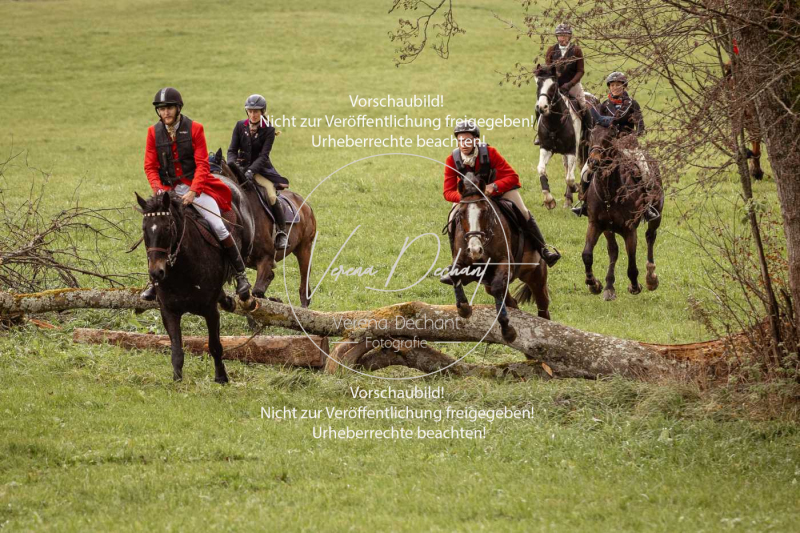 Schleppjagd_Diessen-1305