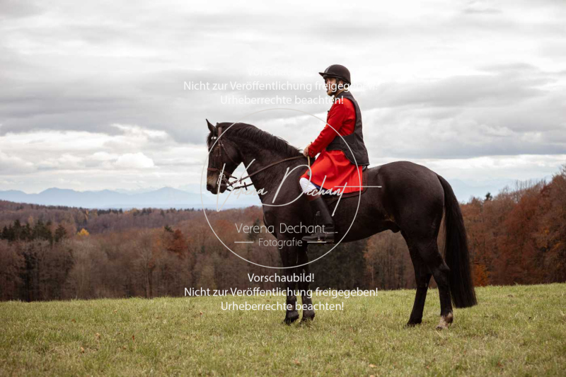 Schleppjagd_Diessen-132