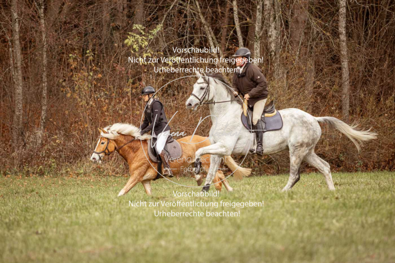 Schleppjagd_Diessen-1320