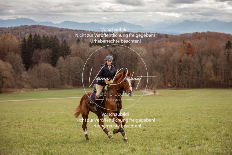 Schleppjagd_Diessen-1322