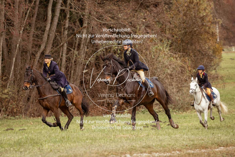 Schleppjagd_Diessen-1329