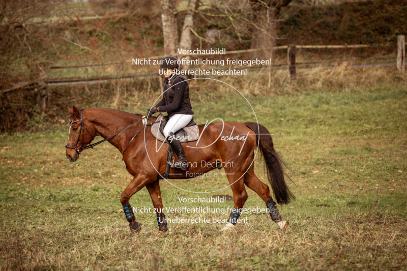 Schleppjagd_Diessen-1330