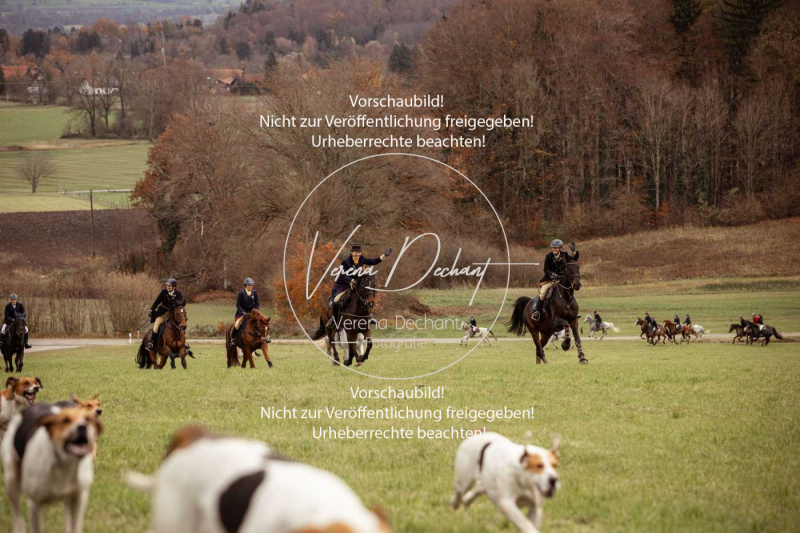 Schleppjagd_Diessen-1339