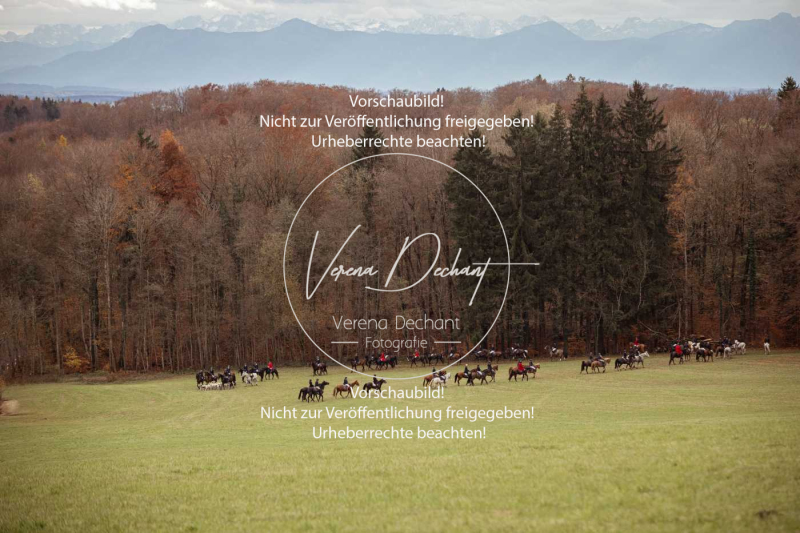 Schleppjagd_Diessen-1350