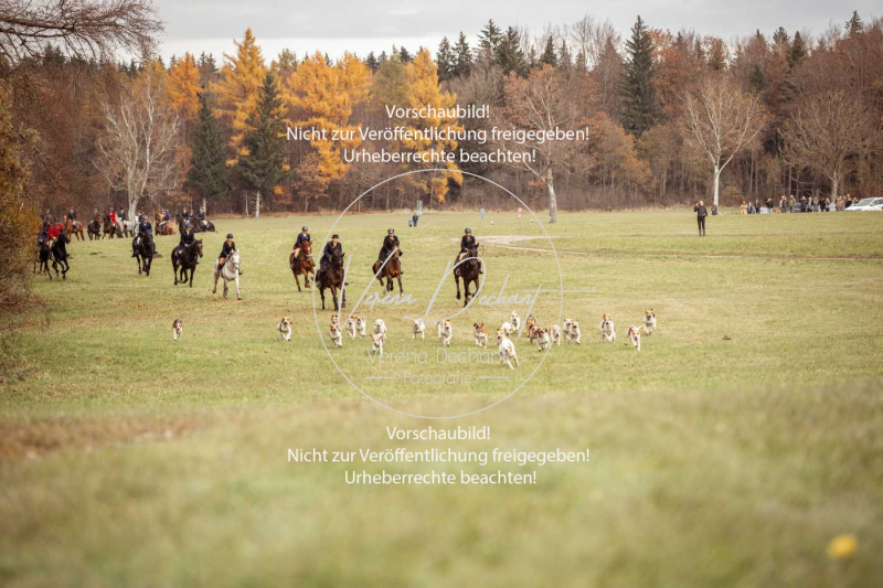 Schleppjagd_Diessen-141