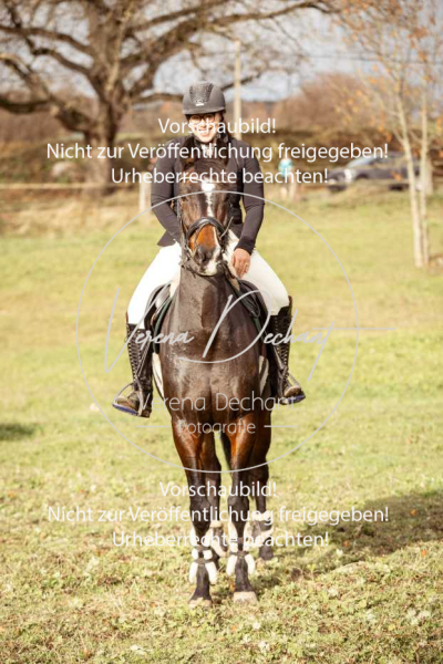 Schleppjagd_Diessen-199