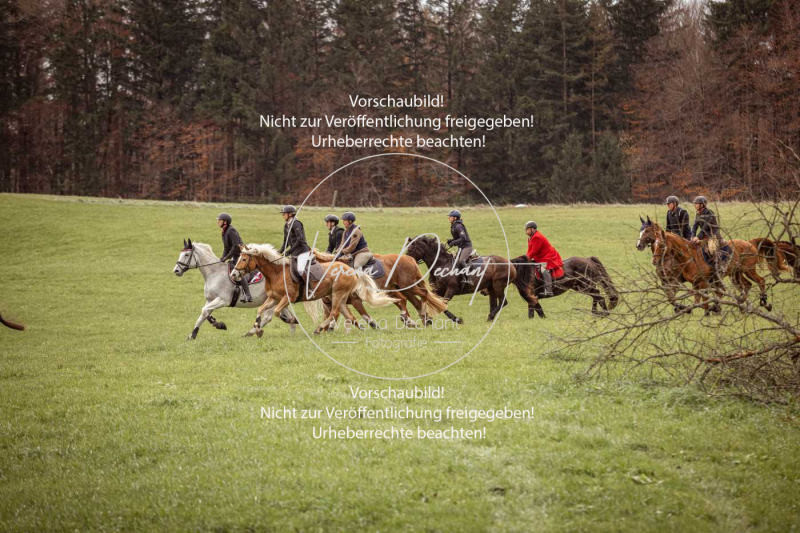 Schleppjagd_Diessen-220